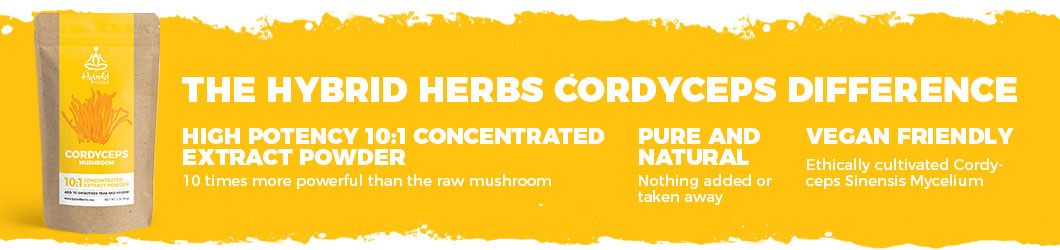 cordyceps-mushroom-powder-difference.jpg