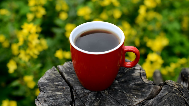 cordyceps-tea.jpg