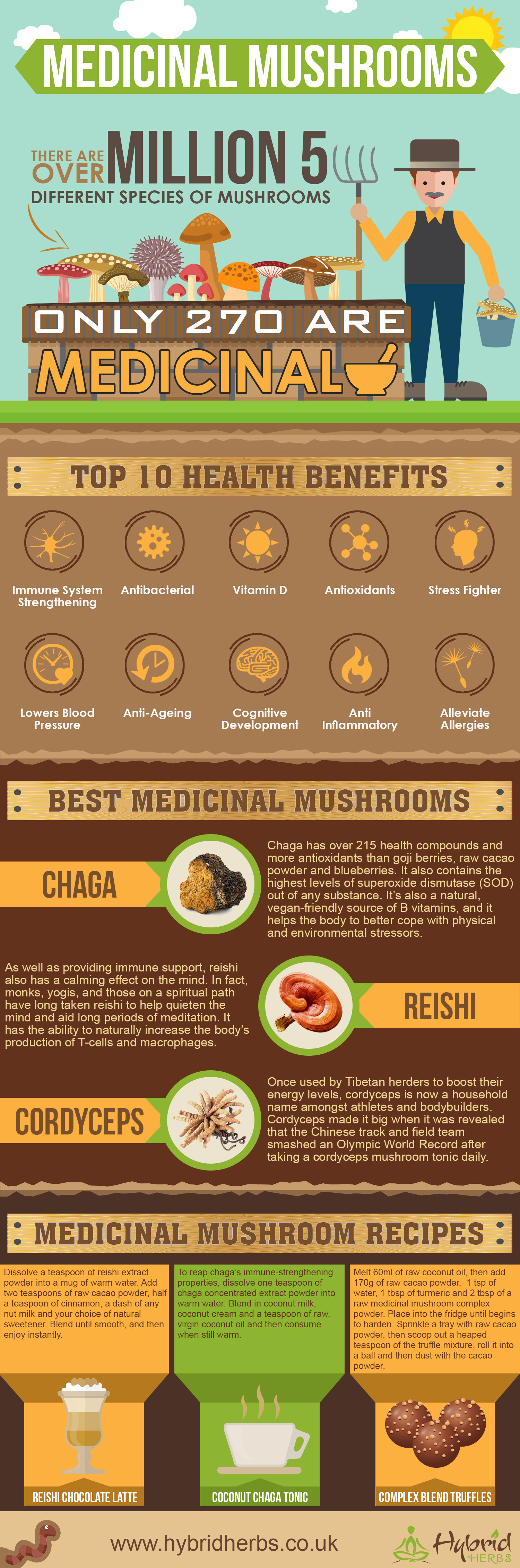 Medicinal Mushroom Benefits