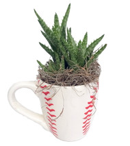 https://d3d71ba2asa5oz.cloudfront.net/12001418/images/baseballmugplanter.jpg?refresh