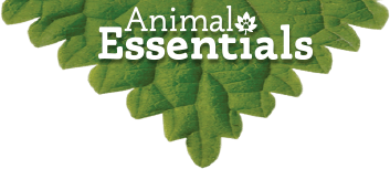 Animal Essentials Coupons and Promo Code