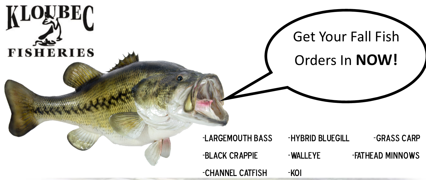 bass-pic.png bass-pic.png