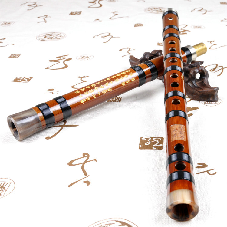 Professional Level Chinese Bitter Bamboo Flute Dizi Instrument with Accessories 2 Sections