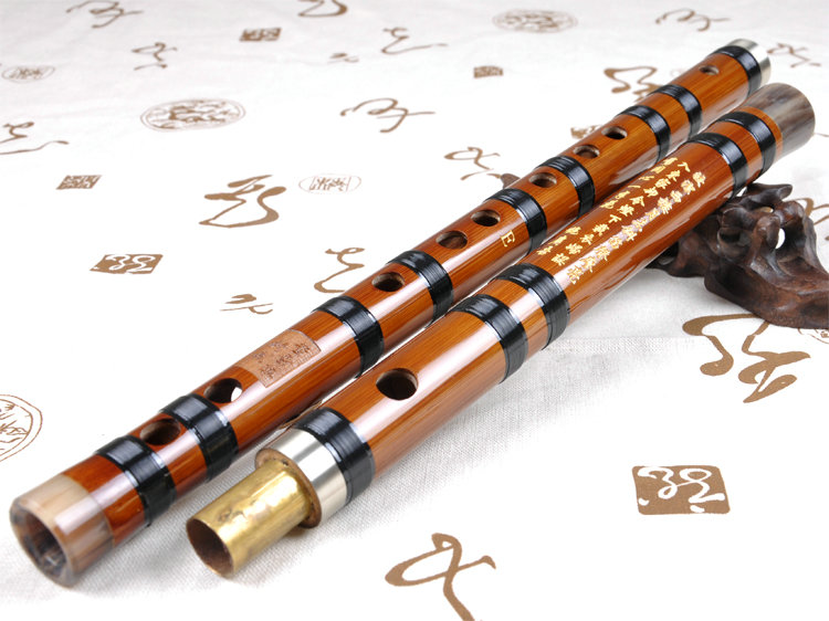 Professional Level Chinese Bitter Bamboo Flute Dizi Instrument with Accessories 2 Sections