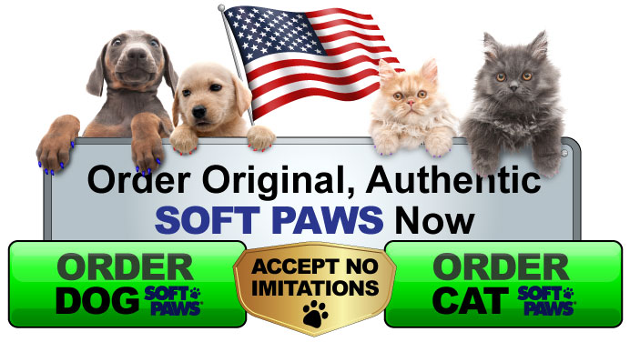 Soft Paws The Quick And Cheap Declawing Alternative Softpaws Com