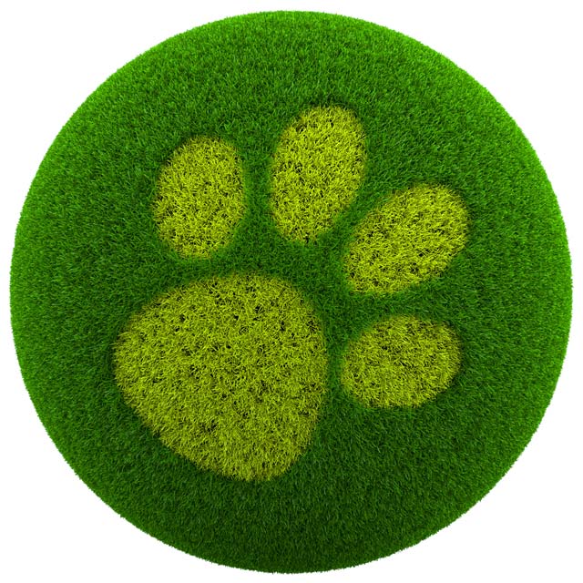 Green up your pet care routine for a healthier environment.