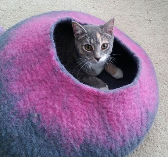 Cat in Gray and Pink Cat Cave