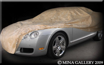 Lexus Ls All Weather Car Cover Lexus Ls All Weather Car Cover