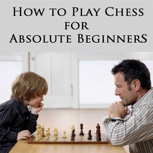 The Way To Play Chess Guidelines  7 Steps To Begin Chess Com