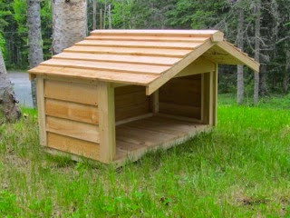 Extended Roof for Large Outdoor Cat Feeding Station - The ...