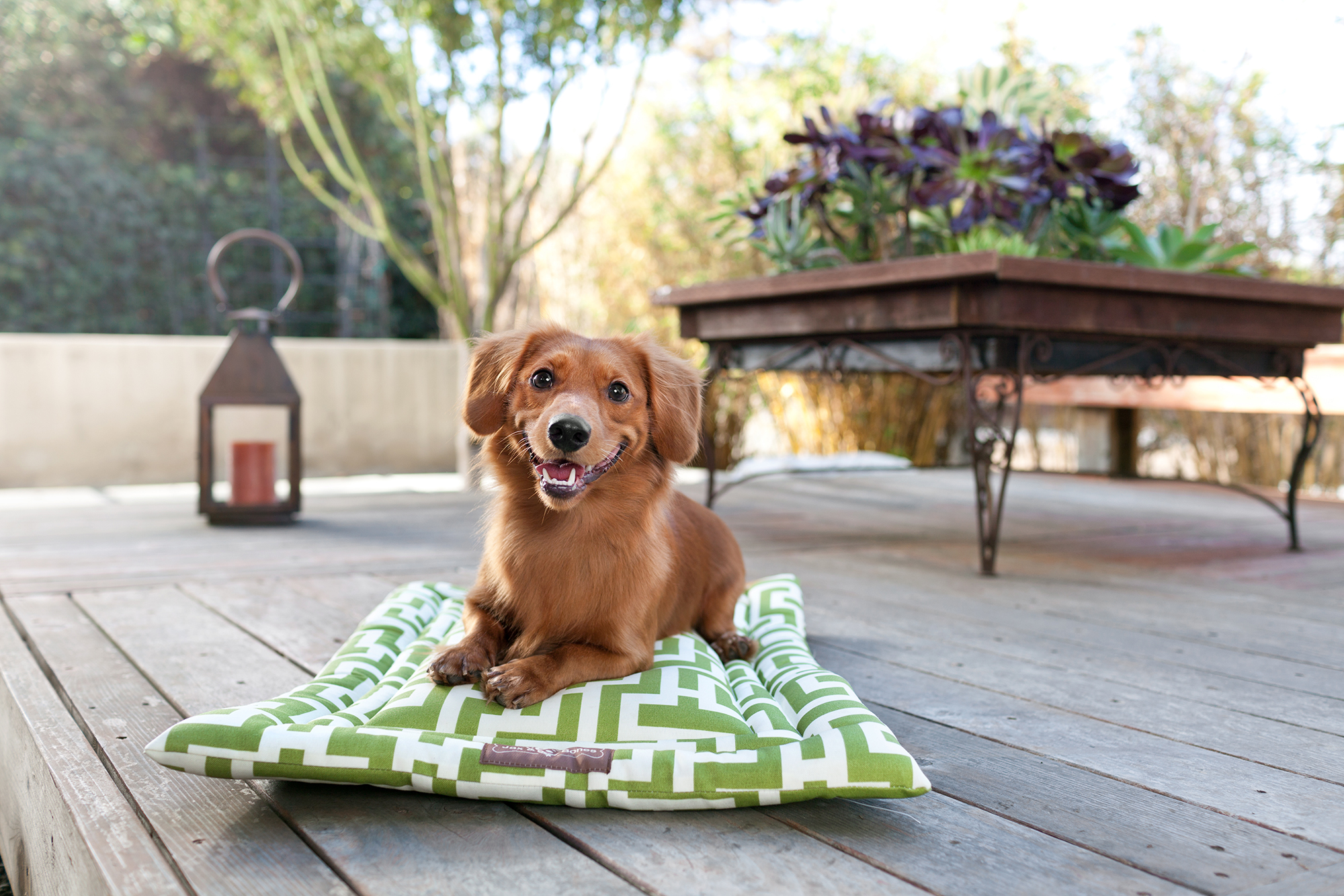 cozy-mat-occasional-outdoor-labryinth-lifestyle-2000x1333-72dpi-rgb.jpg cozy-mat-occasional-outdoor-labryinth-lifestyle-2000x1333-72dpi-rgb.jpg