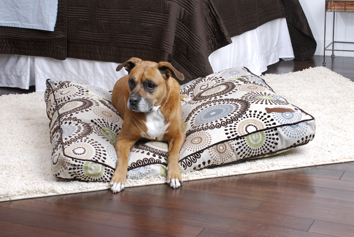 pillow-flocked-confetti-lifestyle-1200x800-72.jpg pillow-flocked-confetti-lifestyle-1200x800-72.jpg