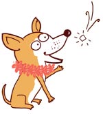 CocoTherapy Coconut Oil for Pets