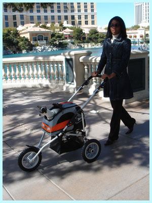 Sport Trike Stroller