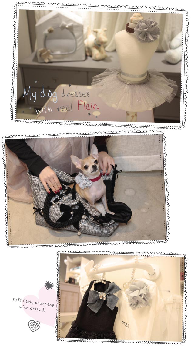Louisdog Corsage Flair Dog Collar