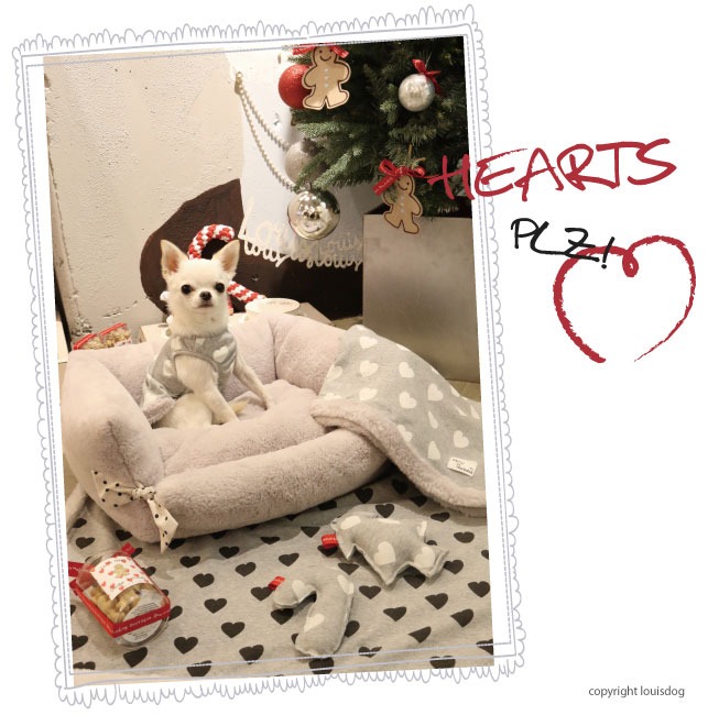 Louisdog Hearts Plz Top