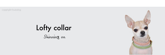 Louisdog Lofty Collar