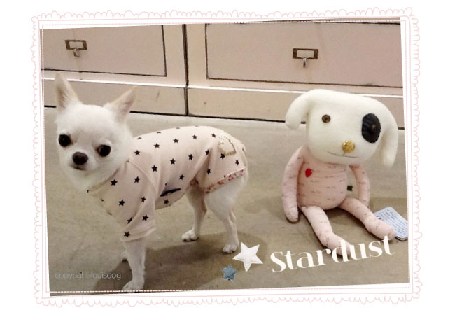 Louisdog Stars Plz Pants