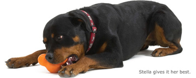 West Paw Design Zogoflex Dog Toys
