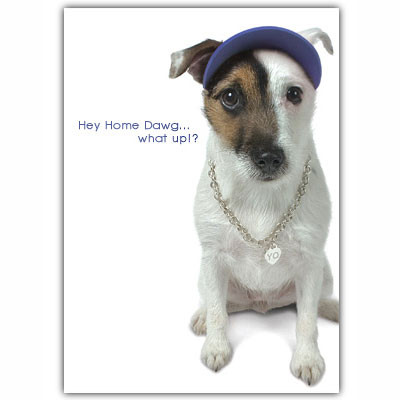 jack russell rap birthday card