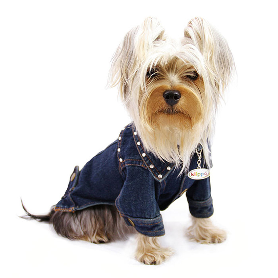 Bling! Denim Dog Jacket