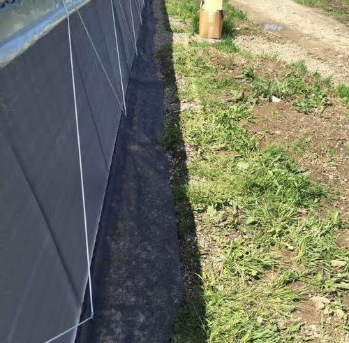 40 Mesh, Anti-Insect Screen, Various Widths - Sold by the foot
