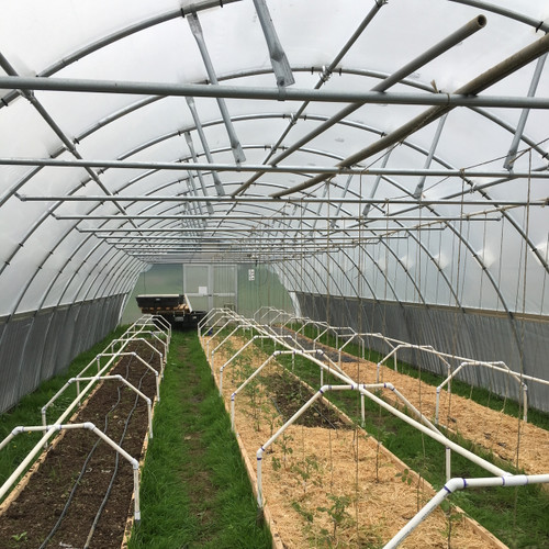 40 Mesh, Anti-Insect Screen, Various Widths - Sold by the foot