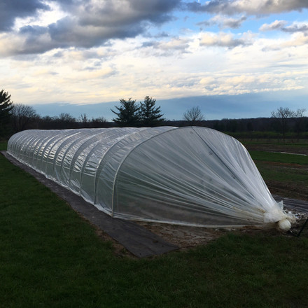 Why Caterpillar Tunnels Have Become Popular Growing Structures