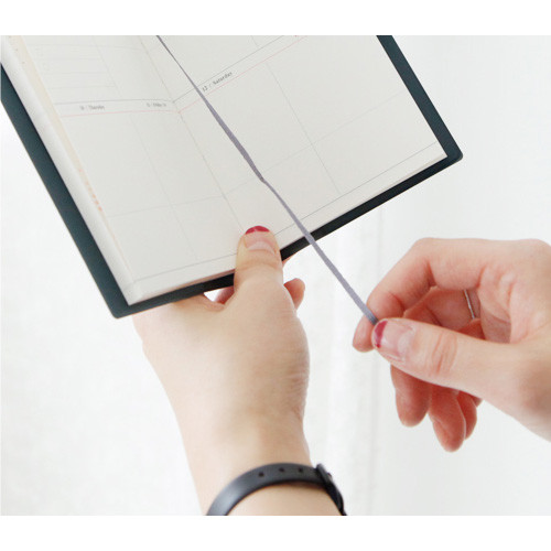 2017 Wanna This Pictogram life medium undated diary scheduler 10__54523