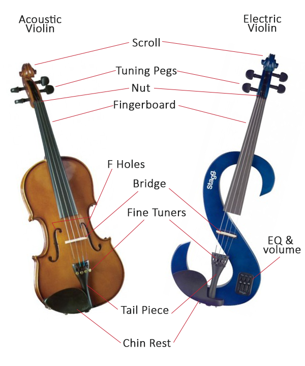 violin body shape