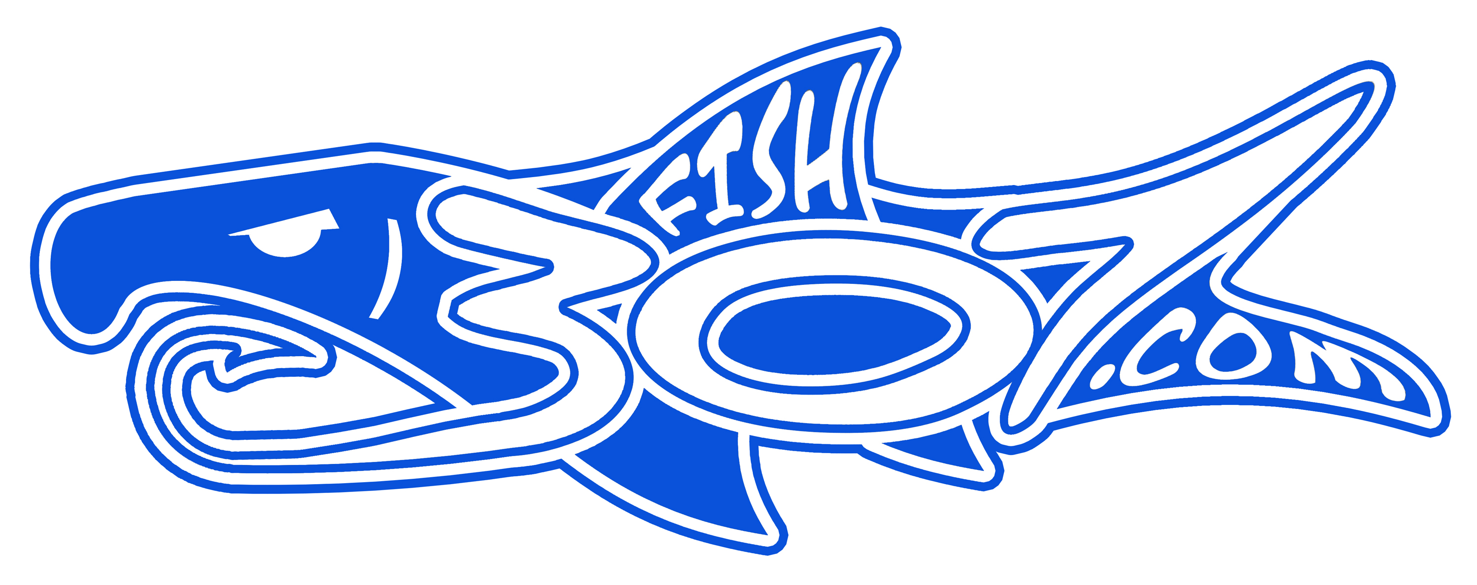 Image result for fish307 logo