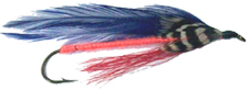 streamer4-8x.jpg streamer4-8x.jpg