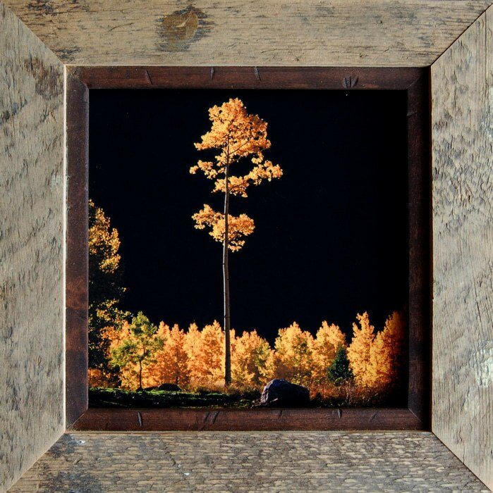 Rustic Frames 11x14 Barnwood Picture Frame with Distressed Alder Overlay