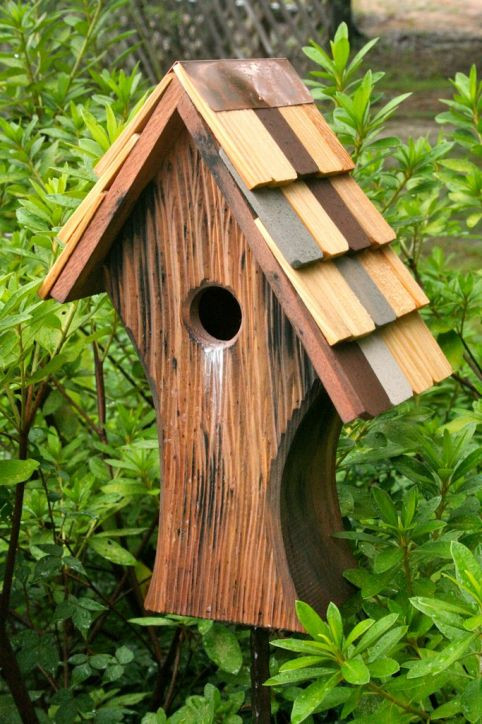 Bird Houses Birdhouse Colored Shingle