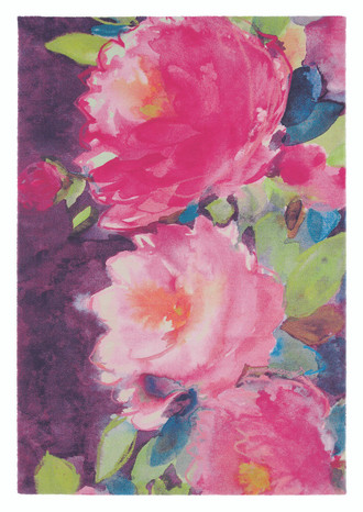  bluebellgrey  Cait 17900