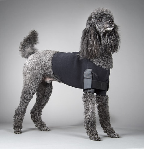 and shoulders for dogs shoulder vest and immobilization harness rehabilitation and shoulders for dogs shoulder vest and immobilization harness rehabilitation