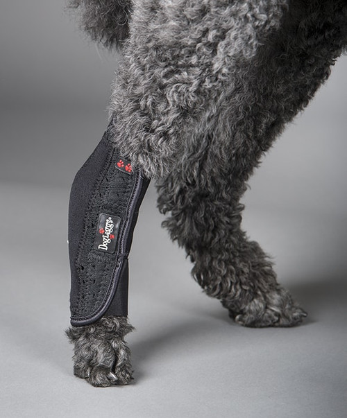 Dog Leg Brace For Tarsal Support | Tarsal Osteoarthritis Treatment For Dogs