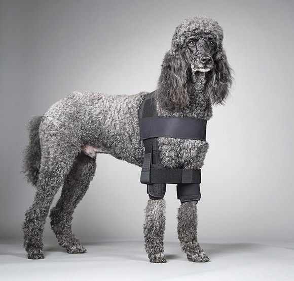 Shoulder Stabilization Vest For Dogs Medial Shoulder