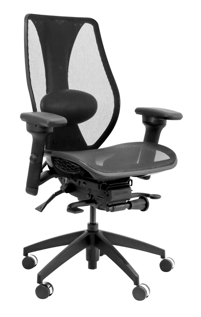 TCentric Hybrid All Mesh Ergonomic Office Chair By ErgoCentric   TCentric Hybrid E1499805445638  32667.1500679178.1280.1280 