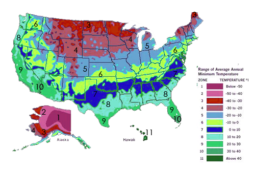 Perennial Co- Find Your Hardy Growing Zone