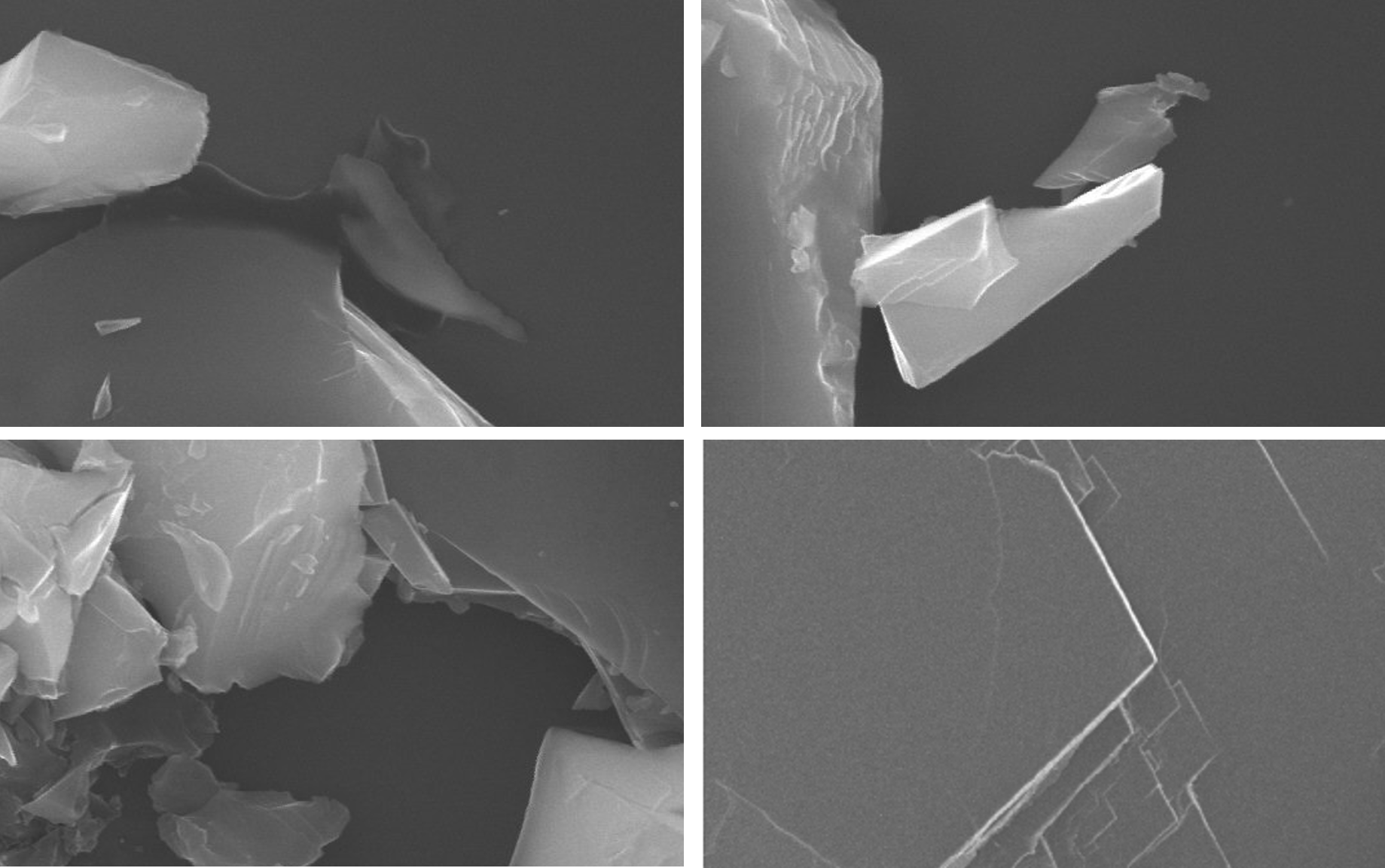 SEM images from 2D solutions