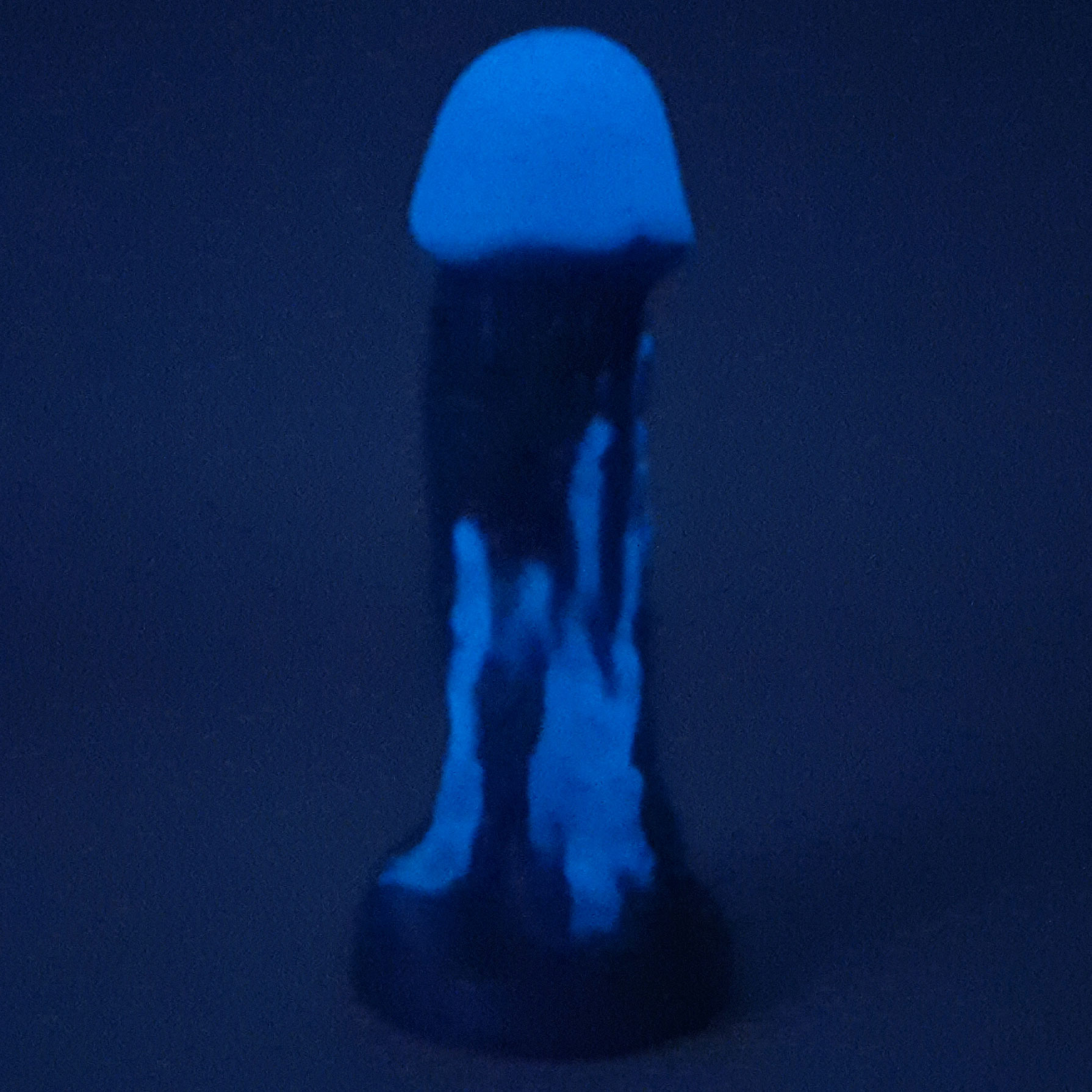 The Jellyfish Silicone Glowing-In-The-Dark