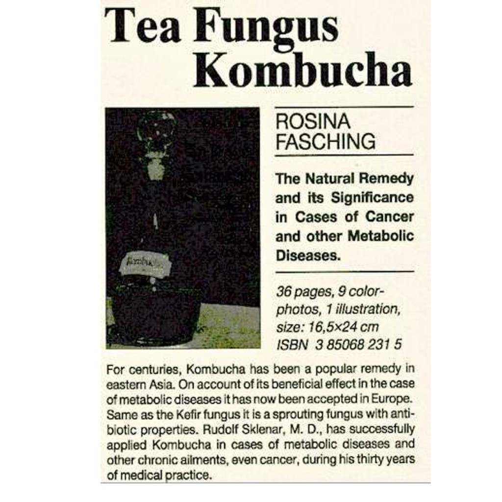 Kombucha Tea Fungus by Rosina Fasching