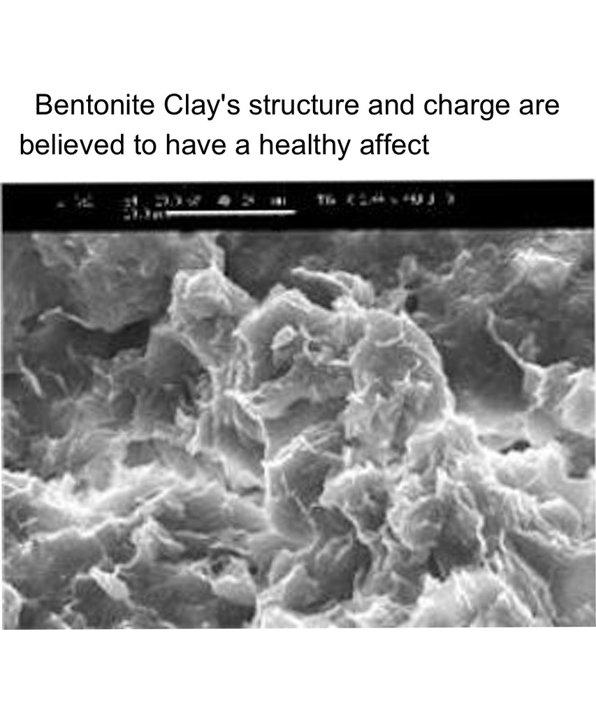Bentonite Clay under a microscope