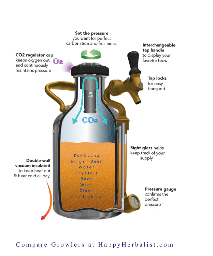 Mini Keg for Fresh Carbonated Brew Keeps 64 oz chilled and sparkling