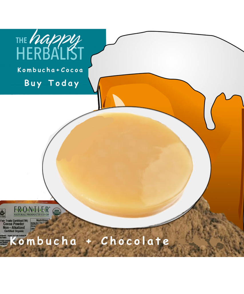Kombucha and Cocoa Magically Healthy