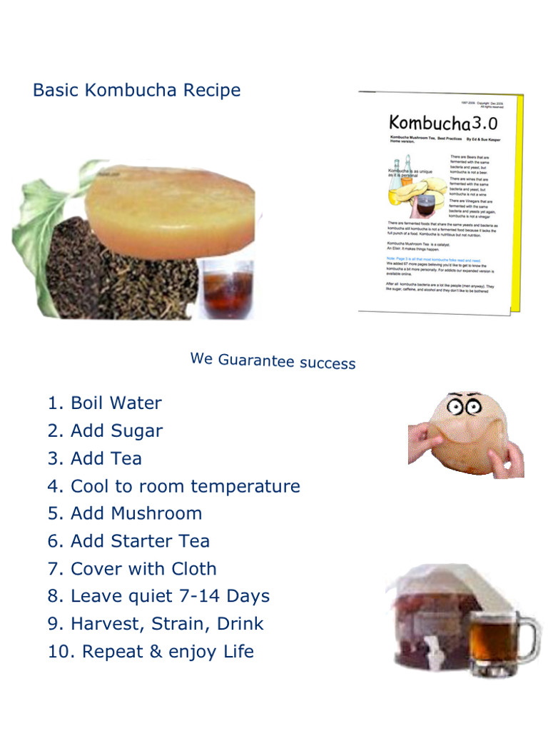 How to Make Kombucha. Simple Kombucha Recipe