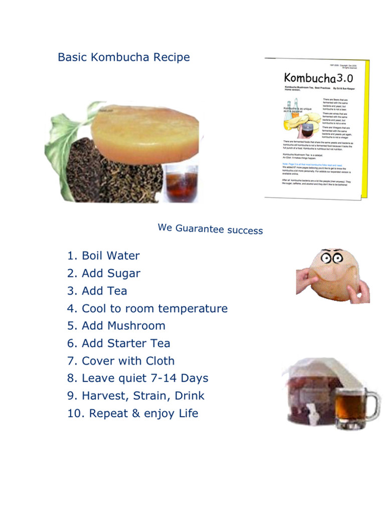 How to Make Kombucha. Simple Kombucha Recipe