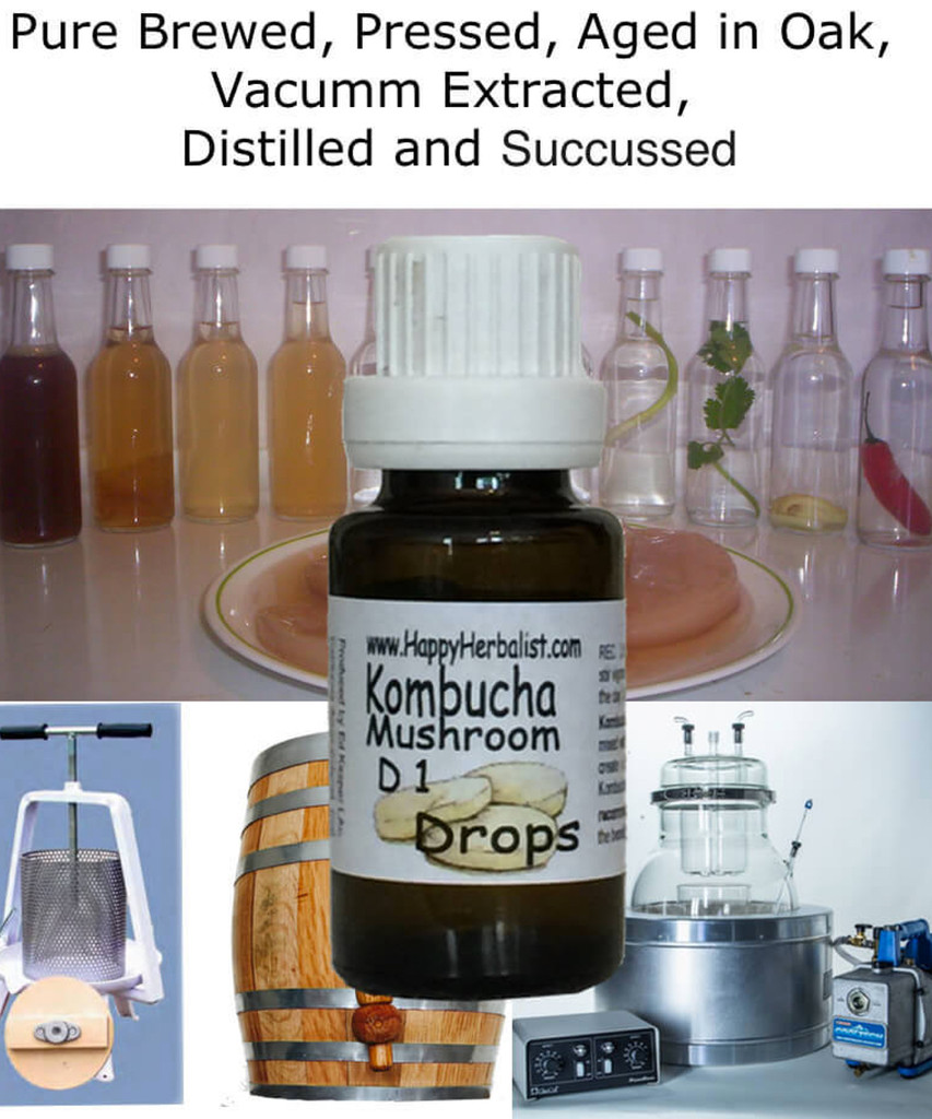Kombucha in small batch extractions