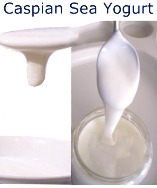 Semi Sweet Bland Yogurt. No special equipment, co cooking. Just use milk right from the fridge. Simply fresh Real Food.